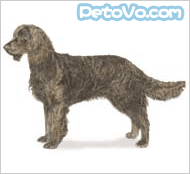 ����ˮ��Ȯ