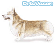 �����޿�����ʿ��˹��Ȯ