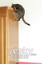 ��ʿ��2008������SHOW