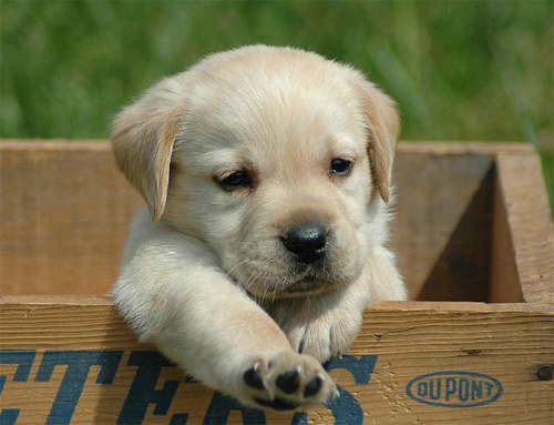 ��������Ȯ