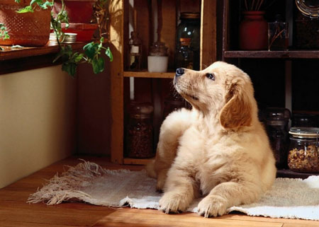 ��Ҫ�����Լ��Ĺ��� ��װ��Ҫע���ϸ��